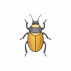 beetle vector illustration