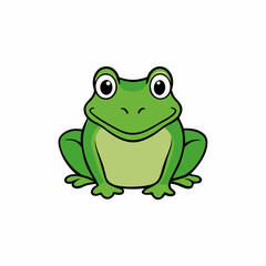 bullfrog on white background