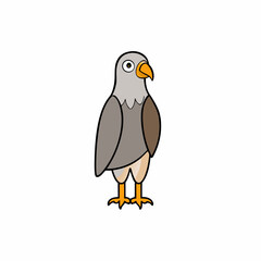 buzzard bird on a white background