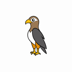 buzzard bird on a white background