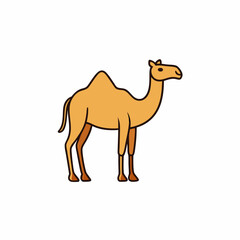 camel vector illustration