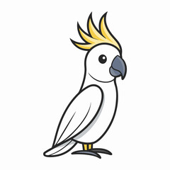 cockatoo on white background