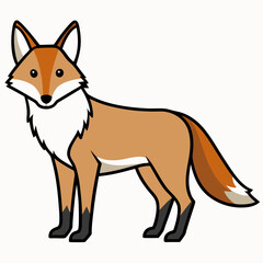 coyote cartoon isolated on white