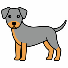 dog isolated on white