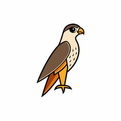 vector illustration of a falcon