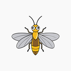 firefly on a white