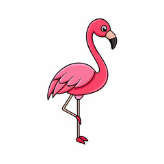 flamingo vector illustration