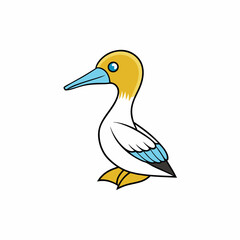 gannet isolated on white background