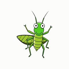 green grasshopper isolated on white