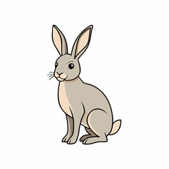 Fototapeta premium vector illustration of a hare