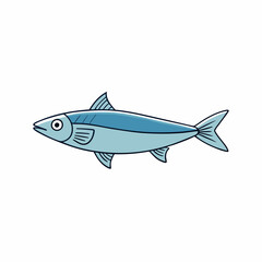 herring fish on a white background
