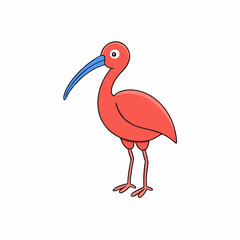 vector illustration of an ibis bird
