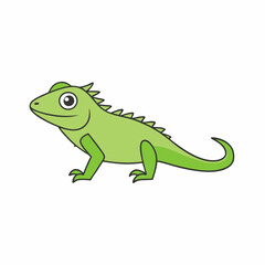 green iguana isolated on white