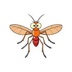 mosquito on white background