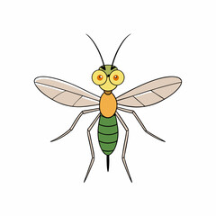 mosquito on white background