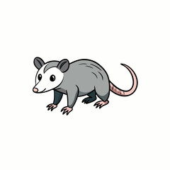 opossum vector illustration