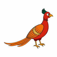 rooster isolated on white