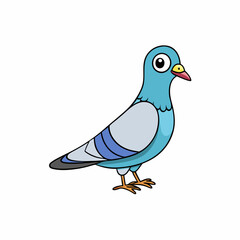vector illustration of a pigeon