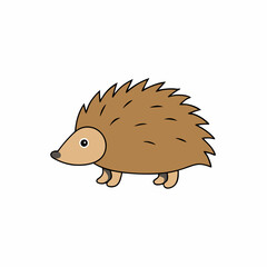 porcupine on a white background