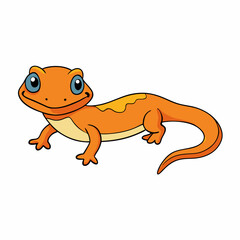 salamander on a white background