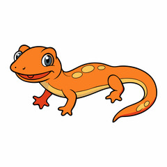 salamander on a white background