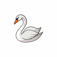  swan vector illustration
