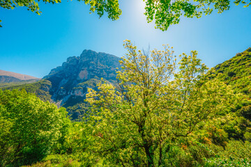 Fototapeta premium Vikos Gorge view from village vikos, a gorge in the Pindus Mountains of northern Greece