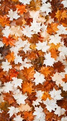 Autumn Maple Leaves Background.
