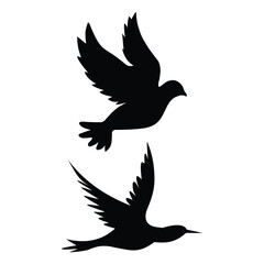 Fototapeta premium bird flying silhouette