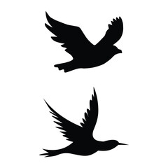 Fototapeta premium bird flying silhouette