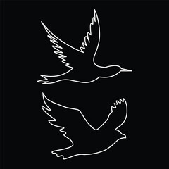 Naklejka premium silhouette of flying bird 