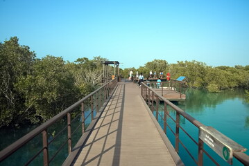 Abu Dhabi, United Arab Emirates – March 02, 2025, the view of the Jubail Mangrove Parks the first self-contained educational, nature and leisure destination