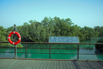 Abu Dhabi, United Arab Emirates – March 02, 2025, the view of the Jubail Mangrove Parks the first self-contained educational, nature and leisure destination