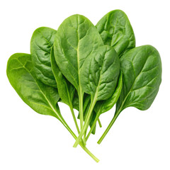 Food Lower Blood Pressure Fresh spinach leaves on a black background.