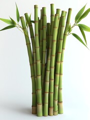Obraz premium Green bamboo stalks growing tall and forming a cluster