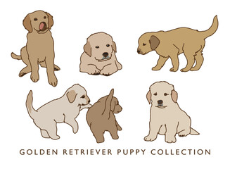 Golden Retriever Puppies Color Illustrations
