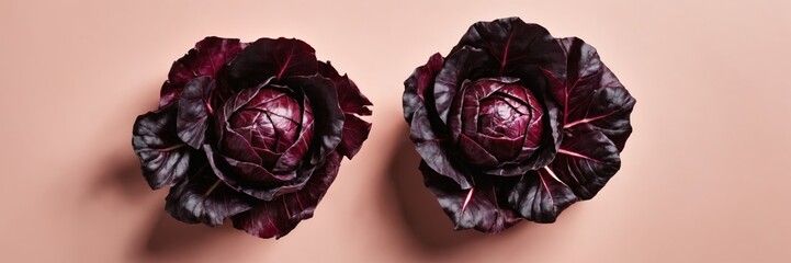 Obraz premium Two radicchio heads on beige background