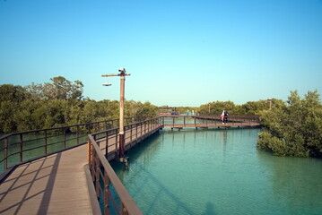 Abu Dhabi, United Arab Emirates – March 02, 2025, the view of the Jubail Mangrove Parks the first self-contained educational, nature and leisure destination