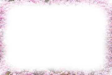 Obraz premium Photo frame background with Beautiful pink cherry blossom, Sakura flowers