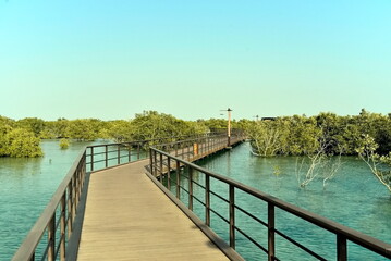 Abu Dhabi, United Arab Emirates – March 02, 2025, the view of the Jubail Mangrove Parks the first self-contained educational, nature and leisure destination