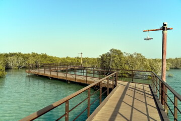 Abu Dhabi, United Arab Emirates – March 02, 2025, the view of the Jubail Mangrove Parks the first self-contained educational, nature and leisure destination
