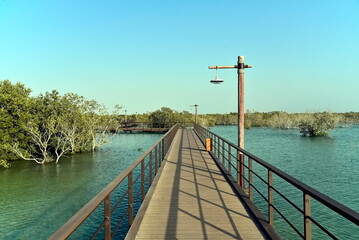 Abu Dhabi, United Arab Emirates – March 02, 2025, the view of the Jubail Mangrove Parks the first self-contained educational, nature and leisure destination