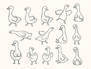 Playful and Whimsical Silly Goose Outline Clipart, Adorable Hand Drawn Doodle Set © Natsicha