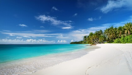 tropical paradise beach with white sand and blue sky