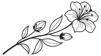 Elegant Black Line Art Flower Branch Design