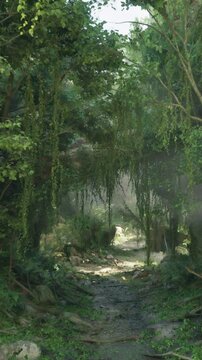 A dirt path surrounded by trees and rocks