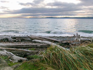 Discovery Park