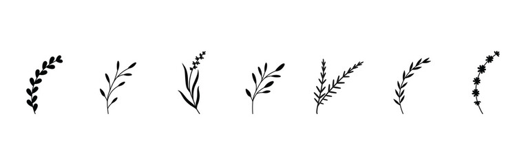 Simple summer, spring branches with leaves. Botanical elements. Floral branch set. Minimalist black silhouette. Flower logo design element. Elegant twig decoration set. Plant icons. Hand drawn black l