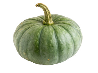 green kabocha squash on white