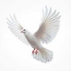 Obraz premium A close-up of a white dove in mid-flight, symbolizing peace and purity. Ideal for designs related to peace events, religious themes, and minimalist aesthetics.
